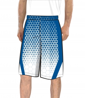 Баскетбольные шорты 301 расцветка 3 голубые